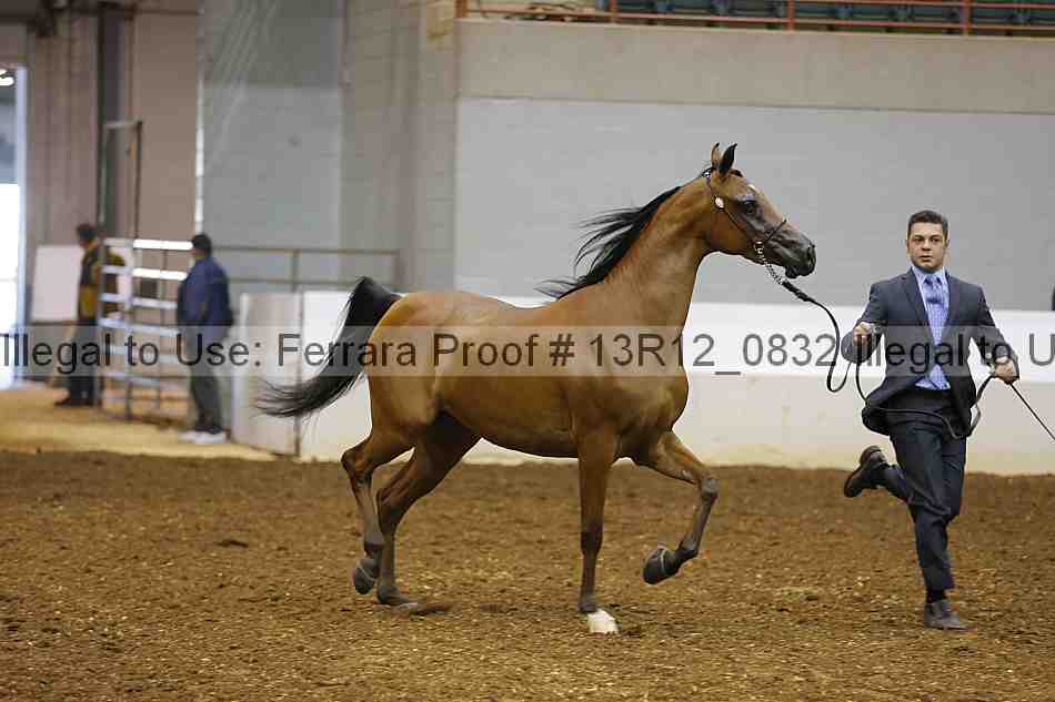 Proof 13r12_0832