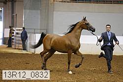 13r12_0832 proof