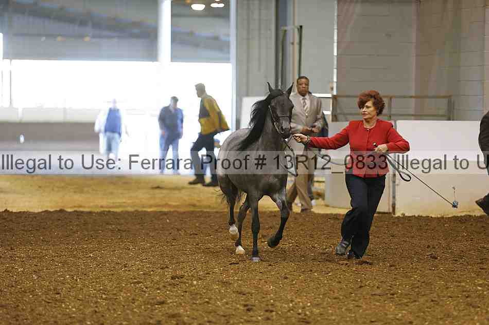 Proof 13r12_0833