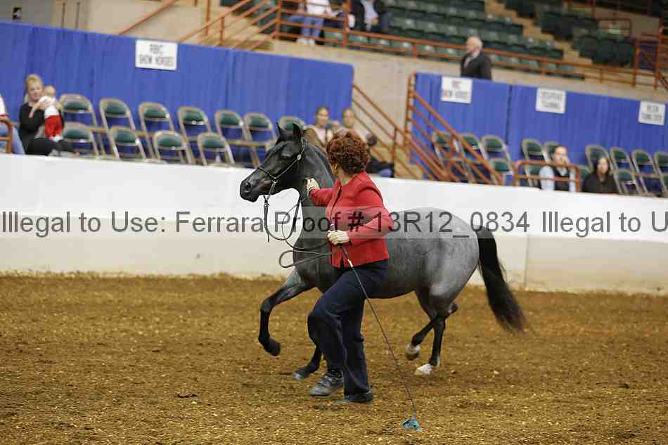 Proof 13r12_0834