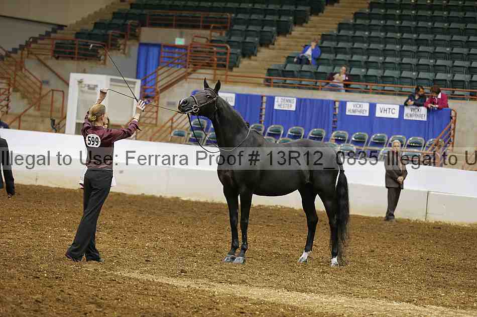 Proof 13r12_0835