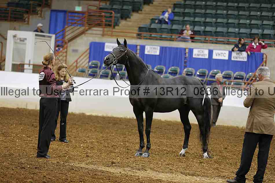 Proof 13r12_0836