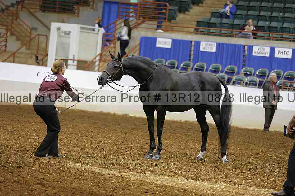 Proof 13r12_0838