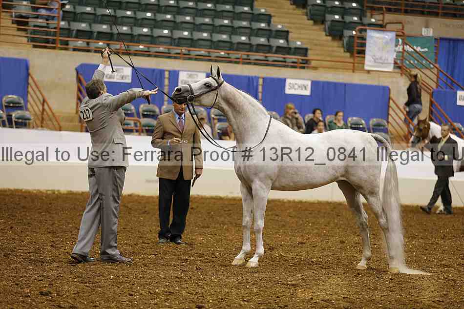 Proof 13r12_0841