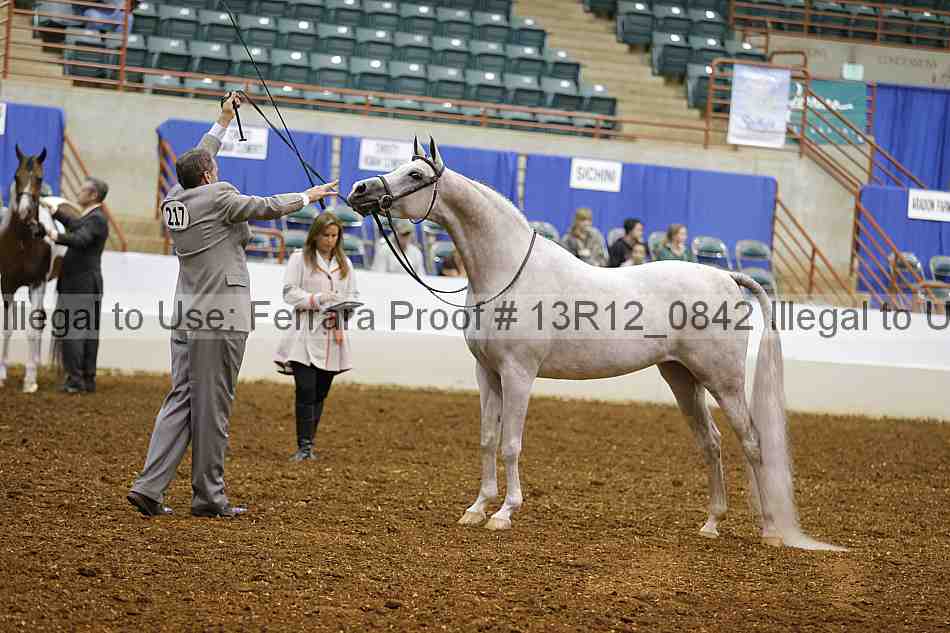Proof 13r12_0842