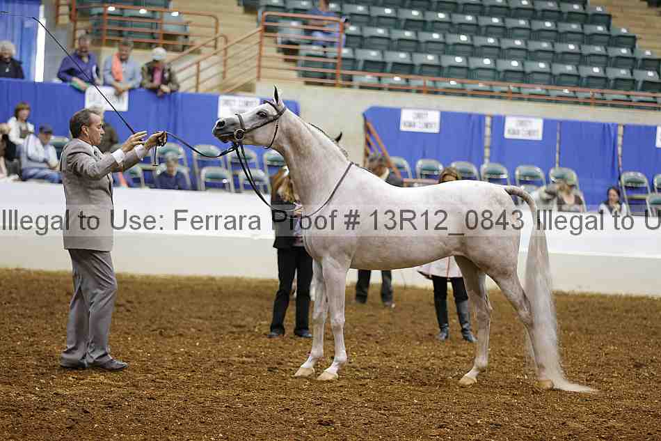 Proof 13r12_0843