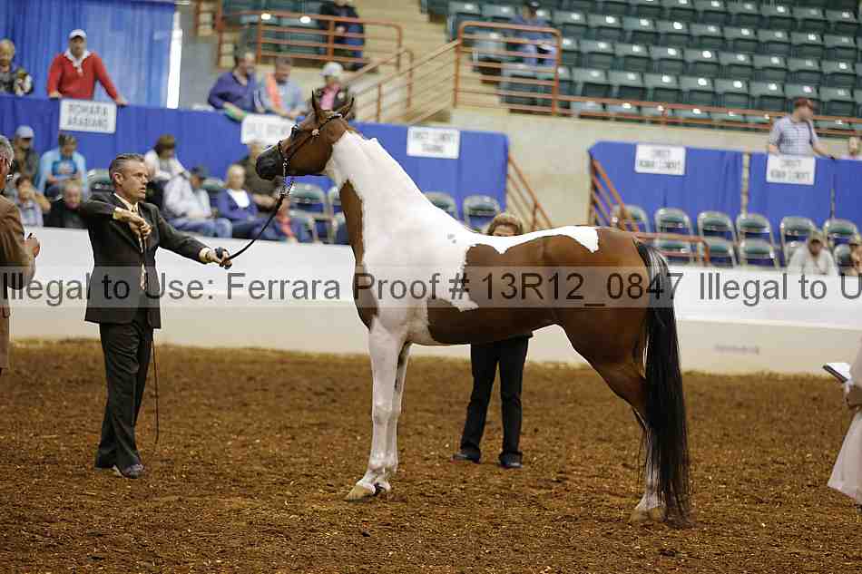 Proof 13r12_0847