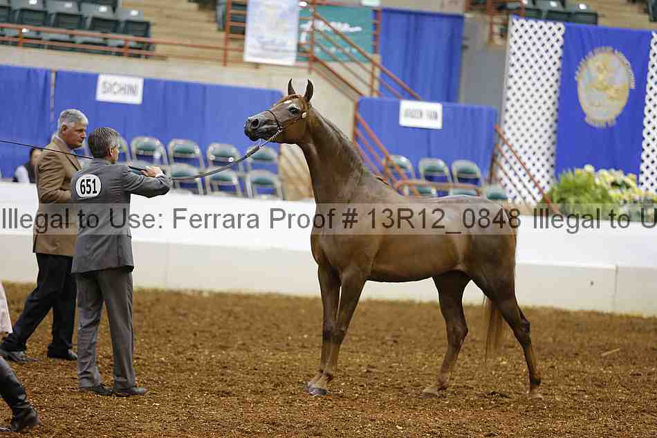 Proof 13r12_0848