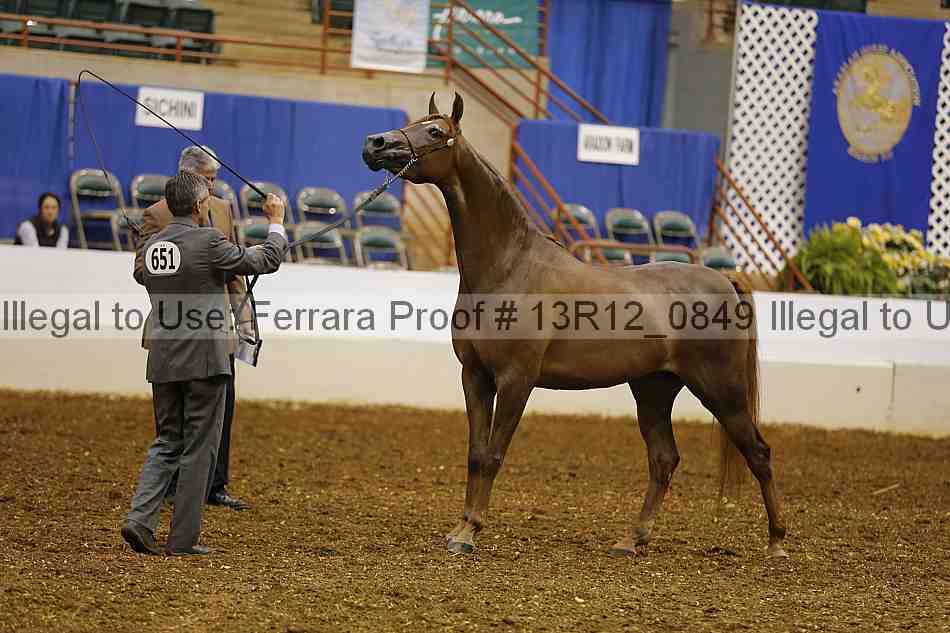 Proof 13r12_0849