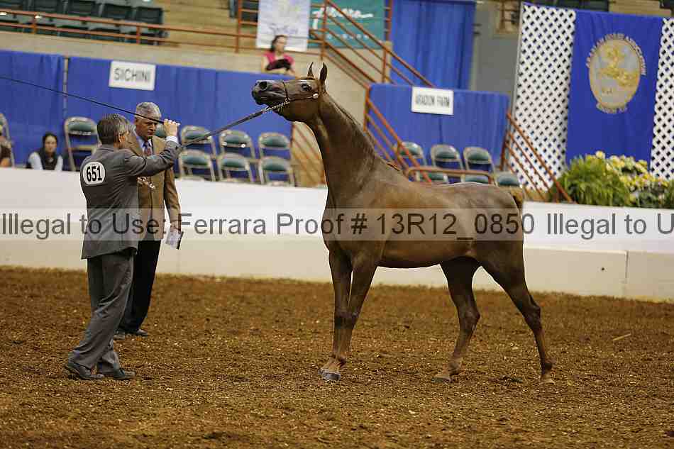 Proof 13r12_0850