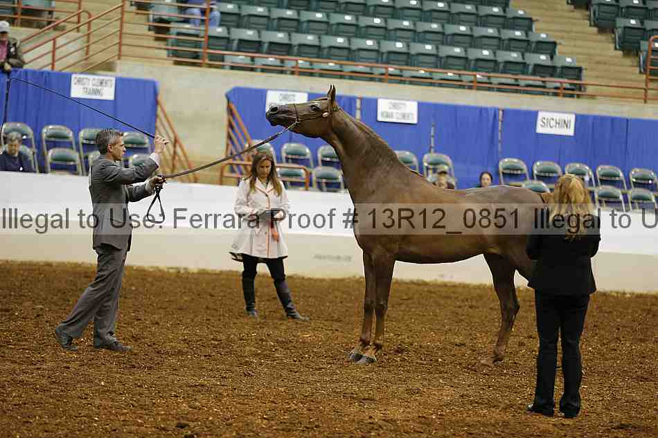 Proof 13r12_0851