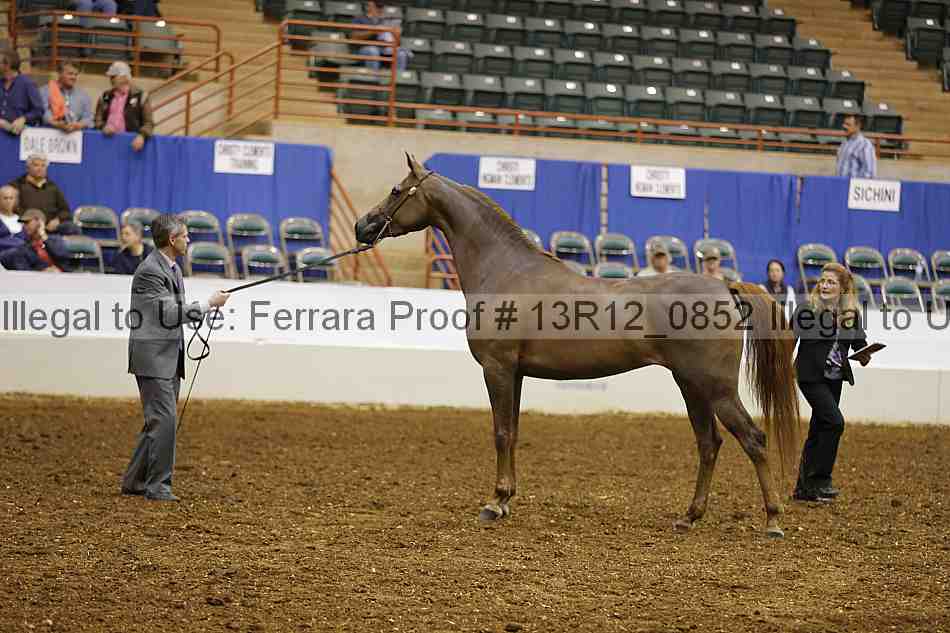 Proof 13r12_0852