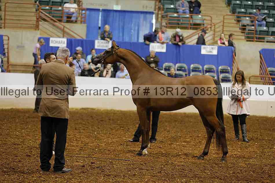 Proof 13r12_0853