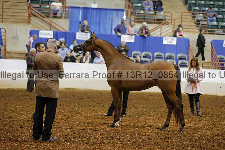 Proof 13r12_0854