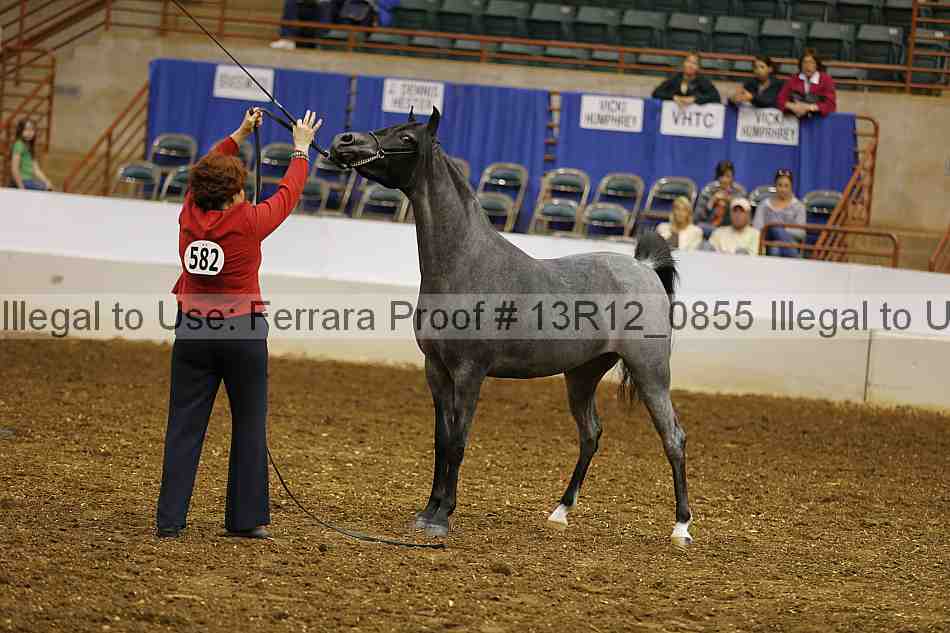 Proof 13r12_0855