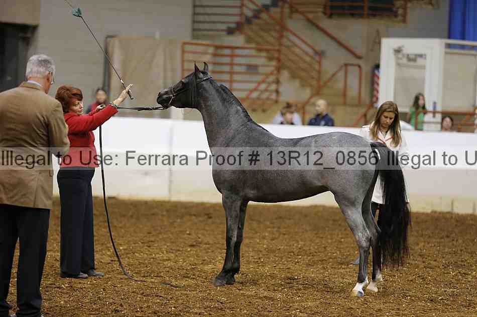 Proof 13r12_0856