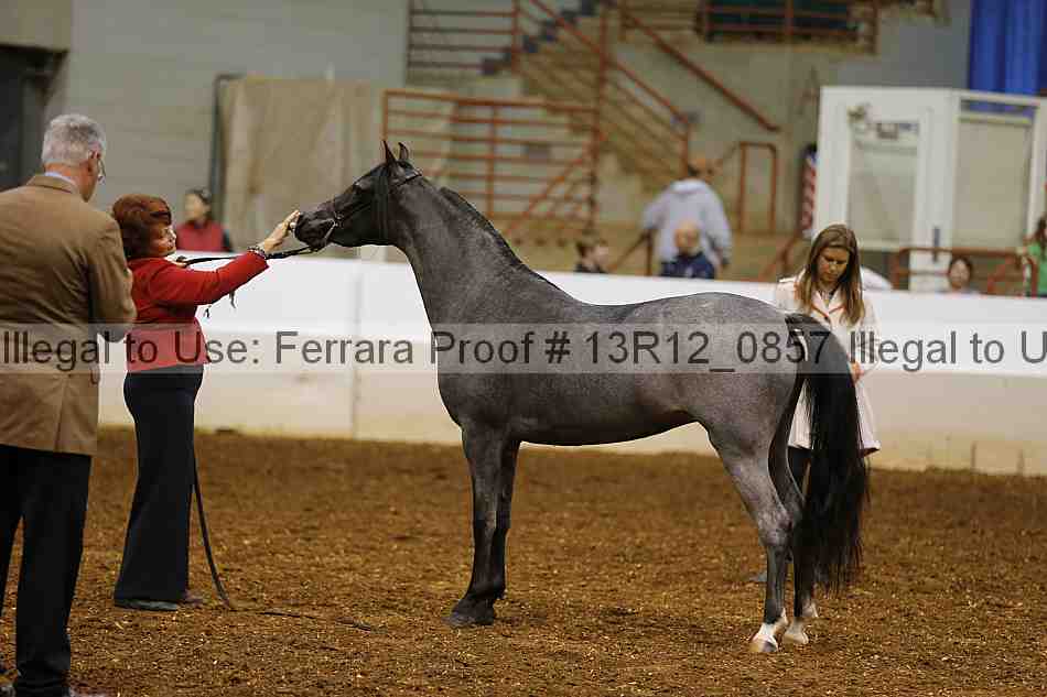Proof 13r12_0857