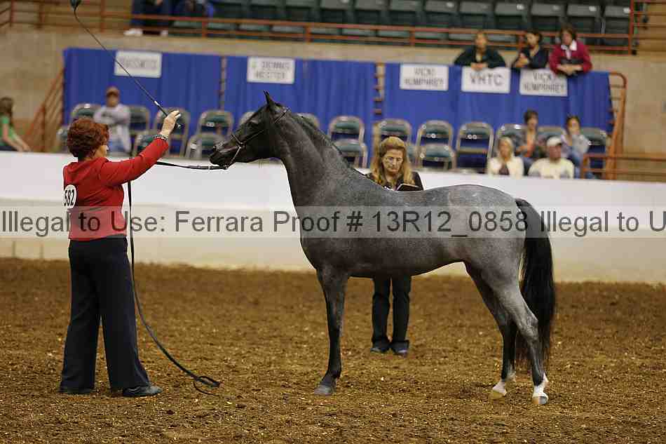 Proof 13r12_0858