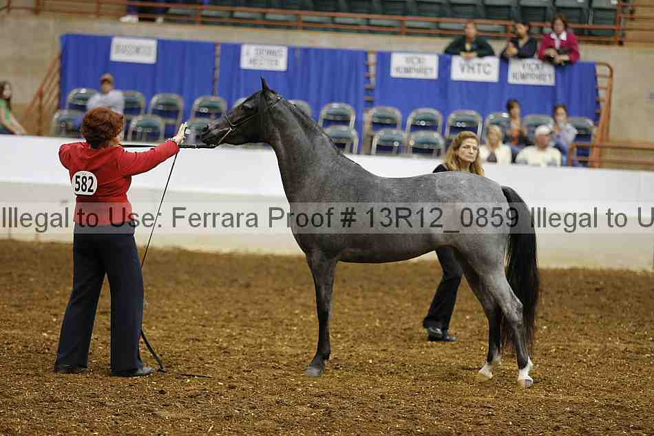 Proof 13r12_0859
