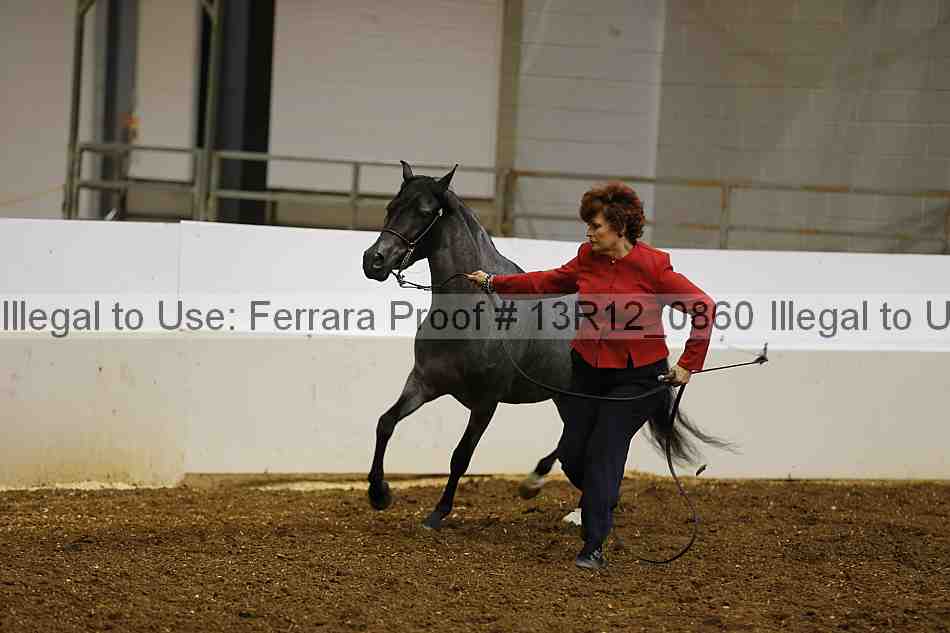 Proof 13r12_0860