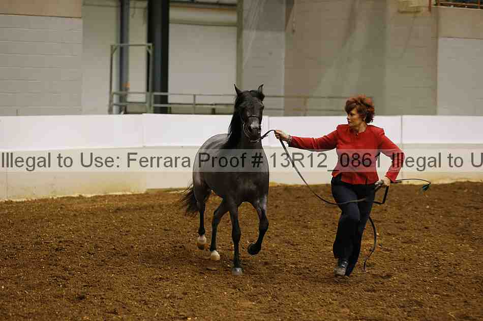 Proof 13r12_0861
