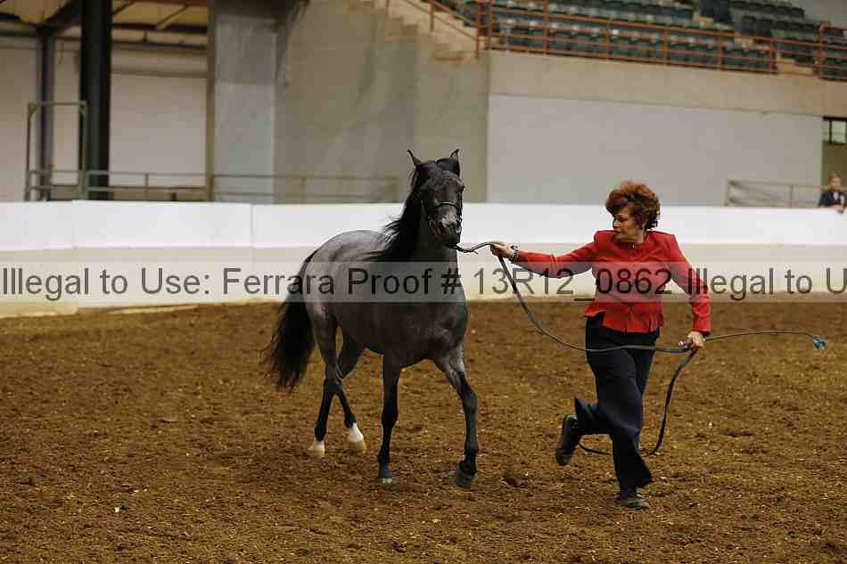 Proof 13r12_0862