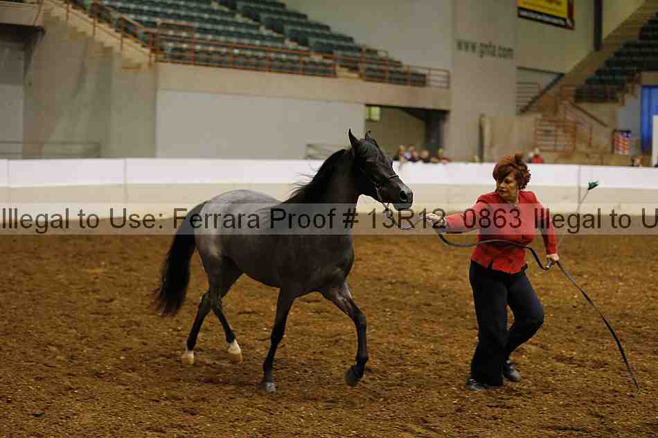 Proof 13r12_0863