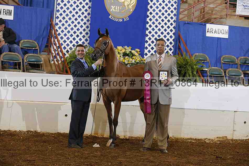 Proof 13r12_0864