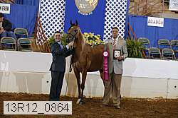 13r12_0864 proof