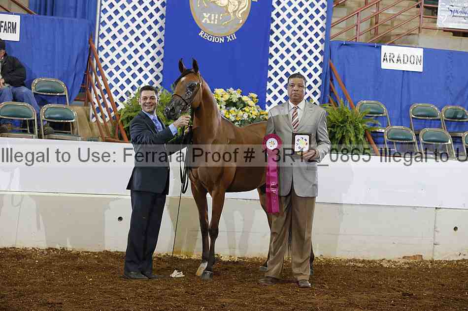 Proof 13r12_0865