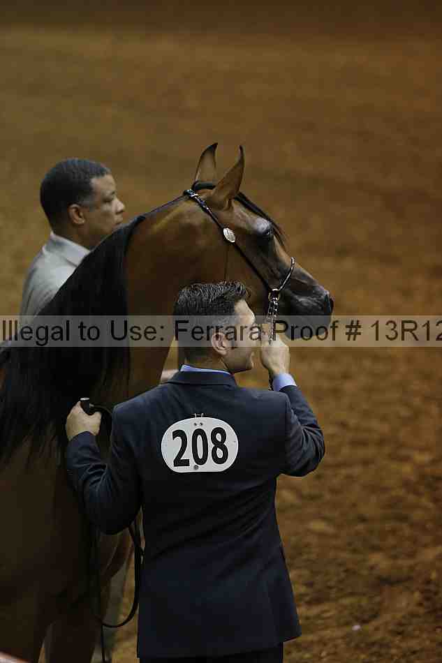 Proof 13r12_0866