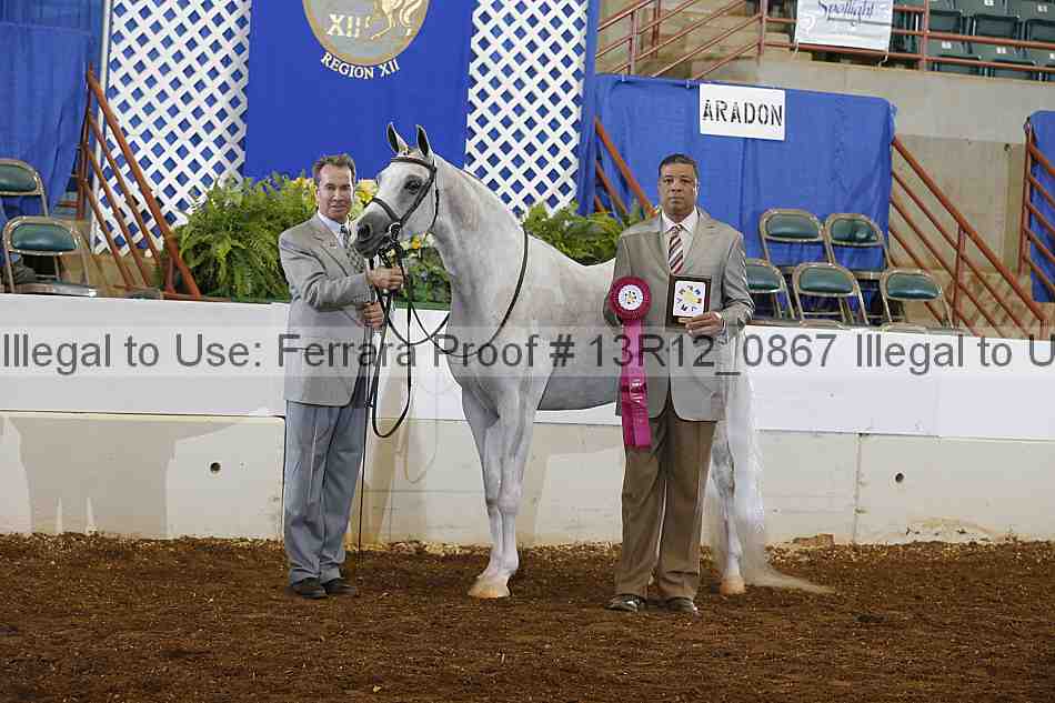 Proof 13r12_0867