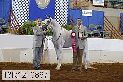 13r12_0867 proof