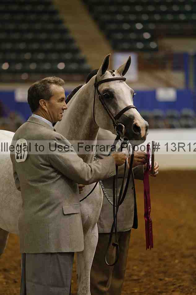 Proof 13r12_0868