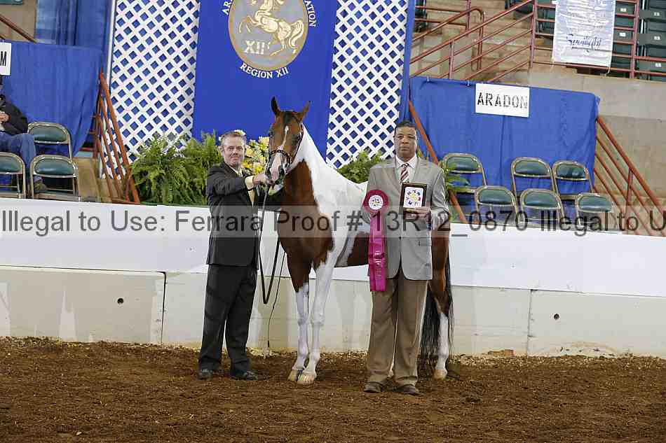 Proof 13r12_0870