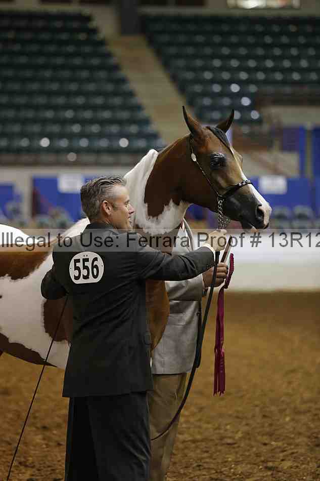 Proof 13r12_0871