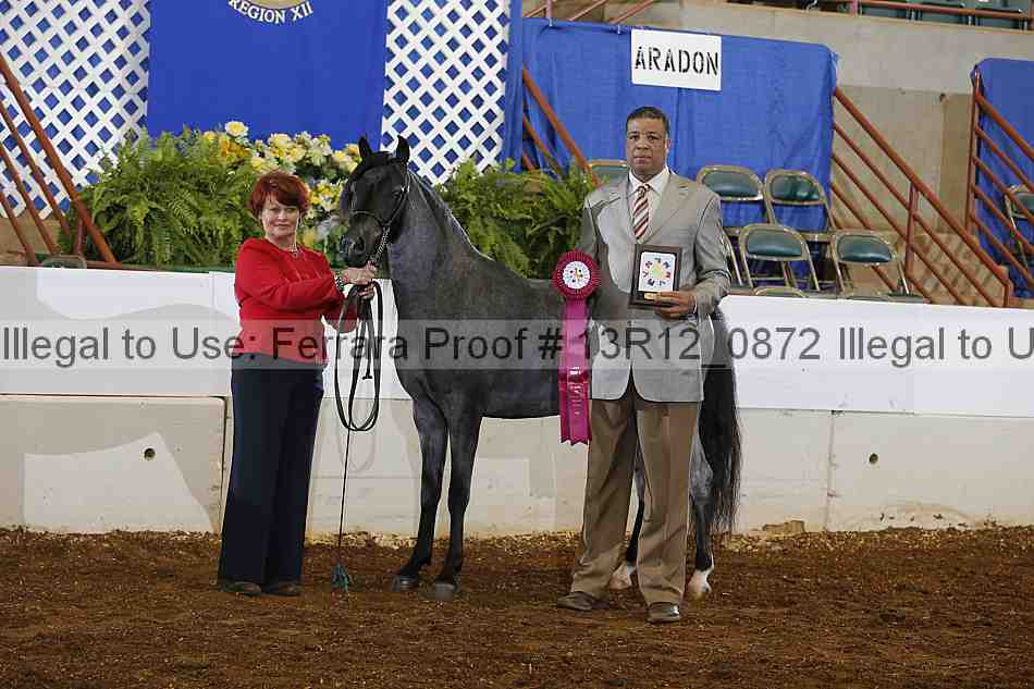 Proof 13r12_0872