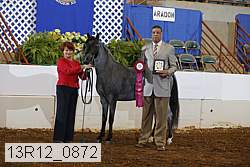 13r12_0872 proof