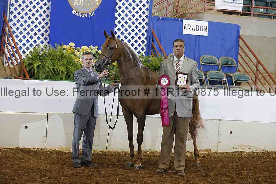 Proof 13r12_0875