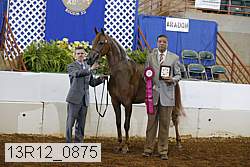 13r12_0875 proof