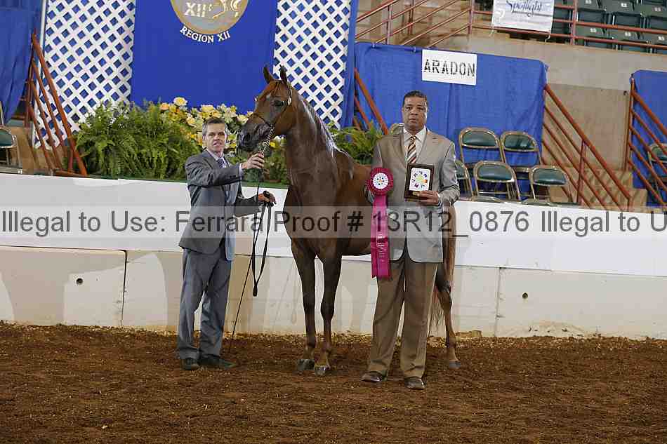 Proof 13r12_0876