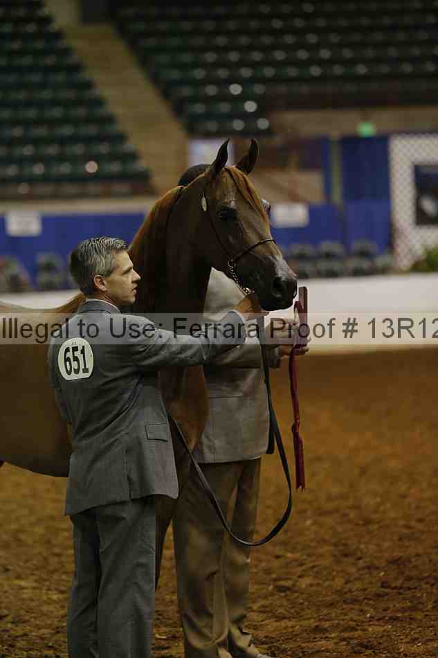 Proof 13r12_0877