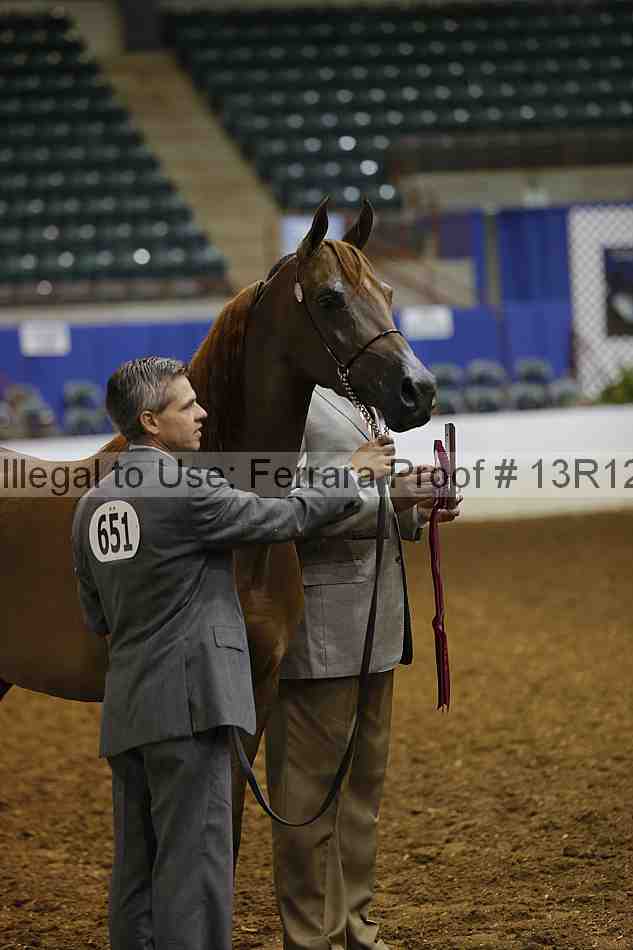 Proof 13r12_0878
