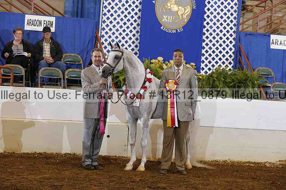 Proof 13r12_0879