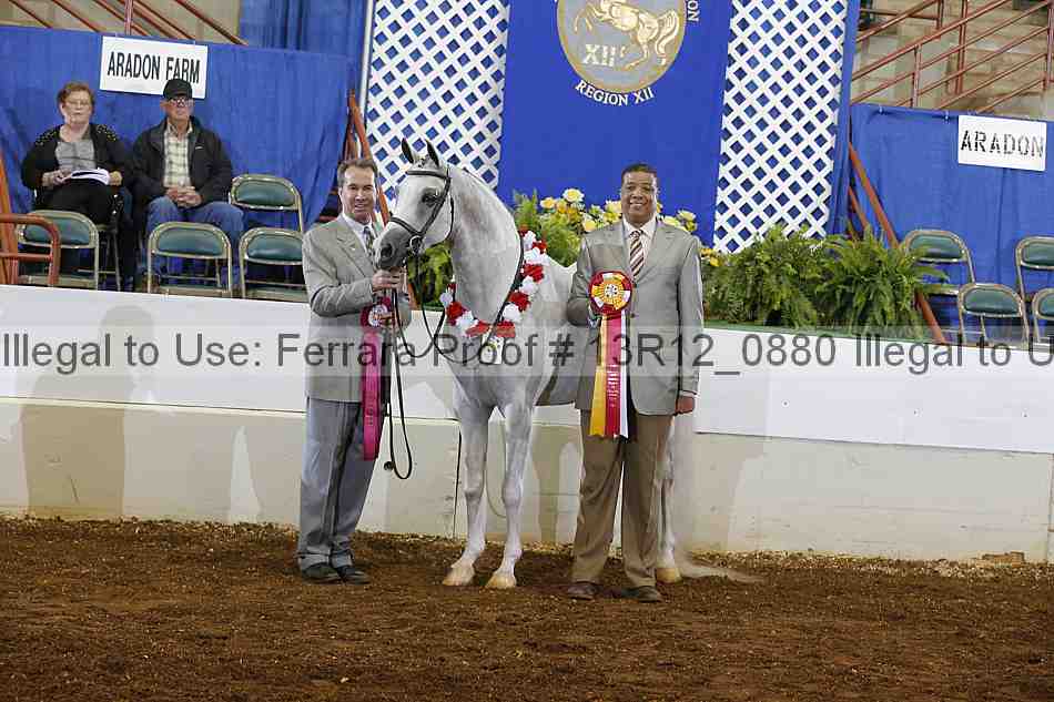 Proof 13r12_0880