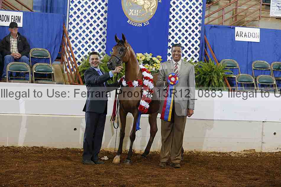 Proof 13r12_0883