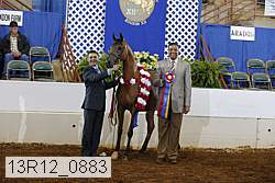 13r12_0883 proof