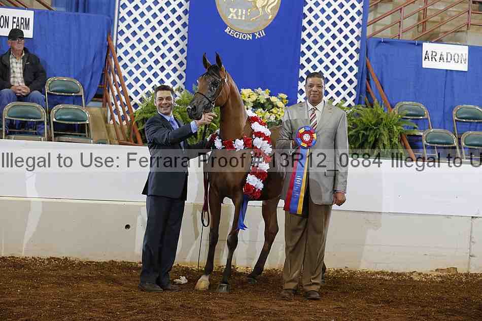 Proof 13r12_0884