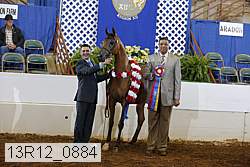 13r12_0884 proof