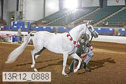 13r12_0888 proof